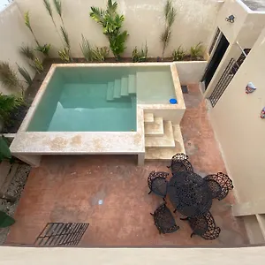 Casa Del Artista Mérida
