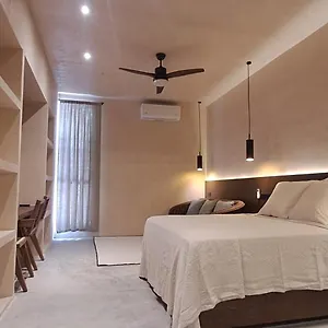 Mid-498 Centro Mérida